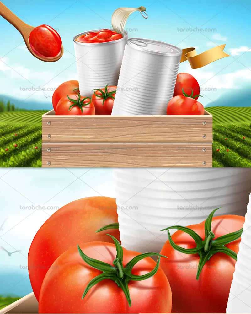 وکتور رب گوجه با رنگ طبیعی