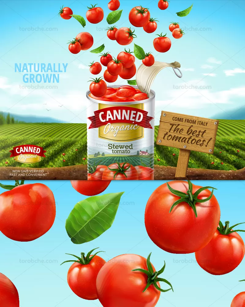 وکتور رب گوجه فرنگی طبیعی