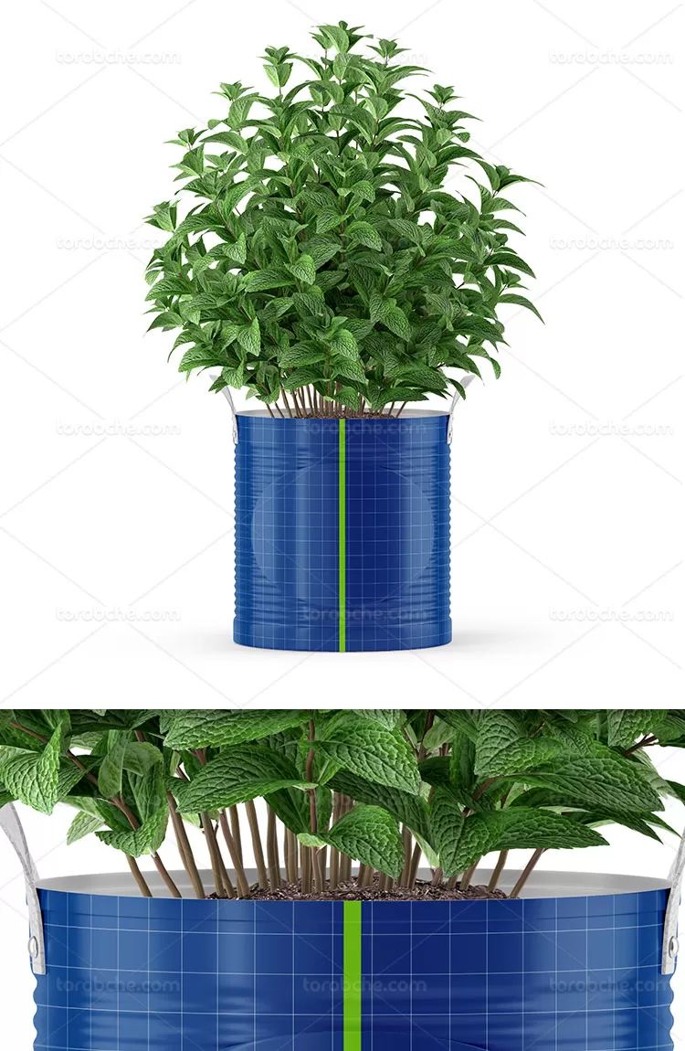 موکاپ ظرف کاشت نعنا