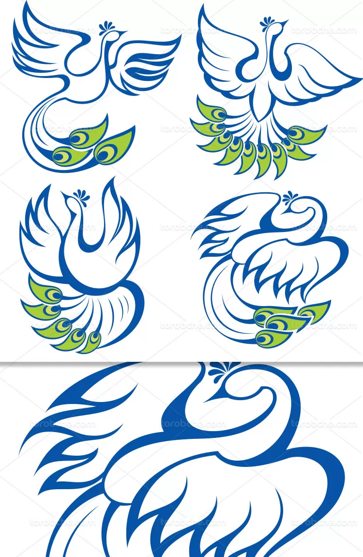 وکتور لوگو طاووس آبی