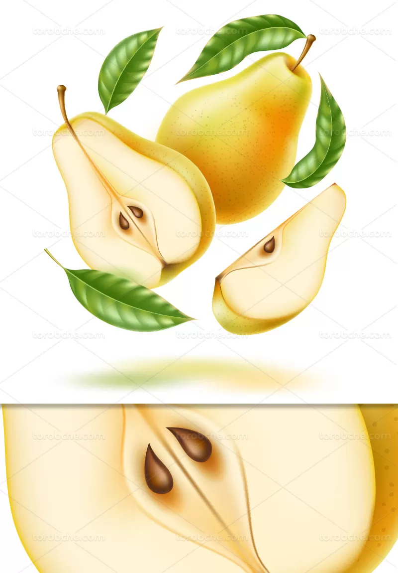 وکتور گلابی برش خورده