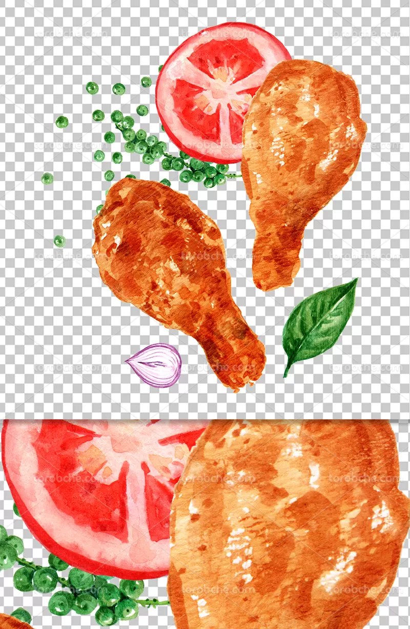عکس PNG نقاشی مرغ