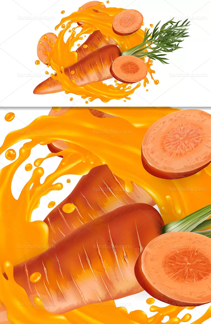 وکتور اسپلش آب هویج