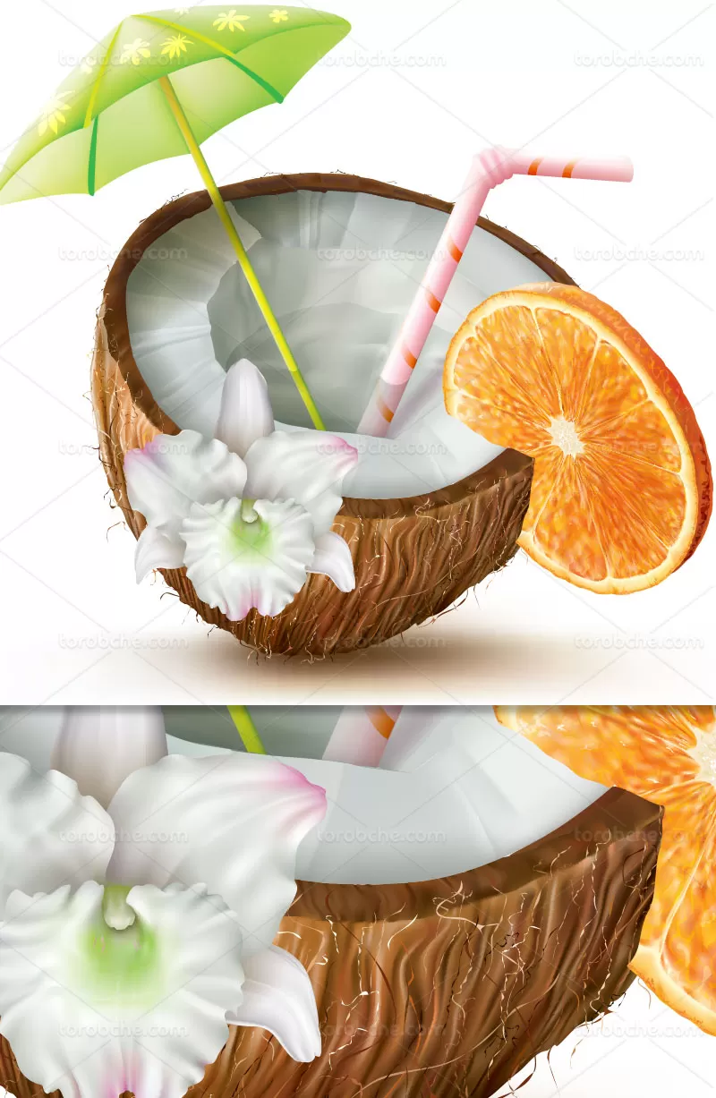 وکتور آب میوه طبیعی نارگیل