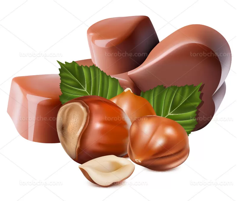 وکتور فندق و شکلات