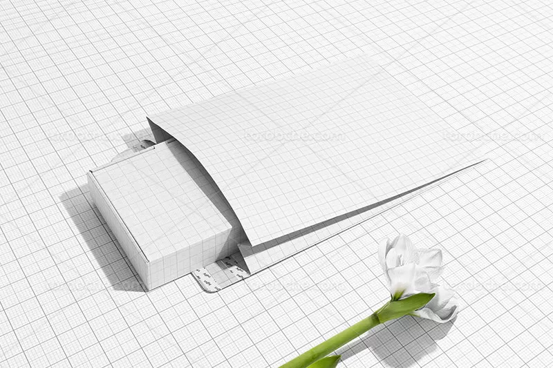 موکاپ پاکت کاغذی و جعبه