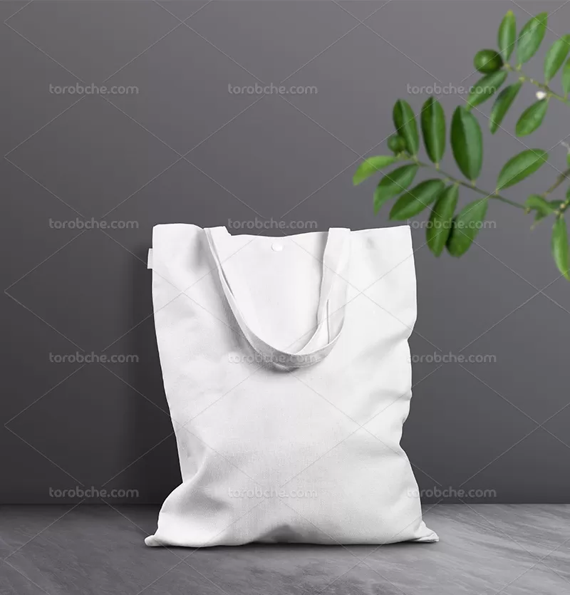 موکاپ ساک پارچه ای