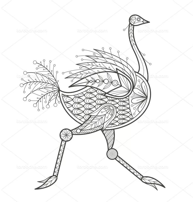 وکتور نقاشی شتر مرغ