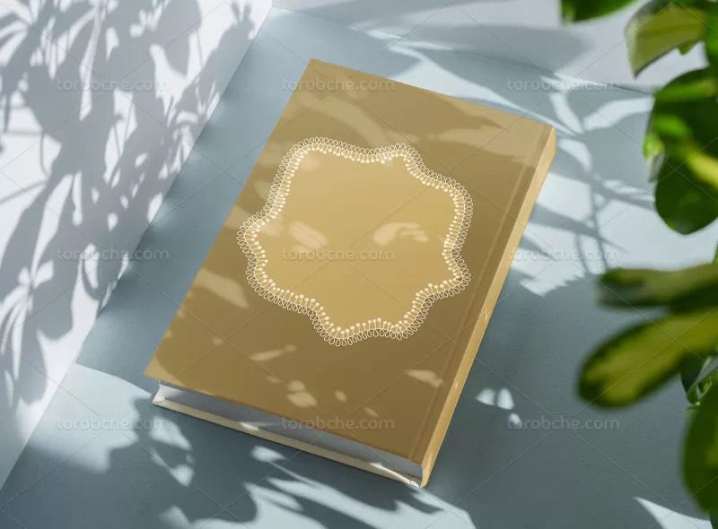 وکتور کادر مینیمال