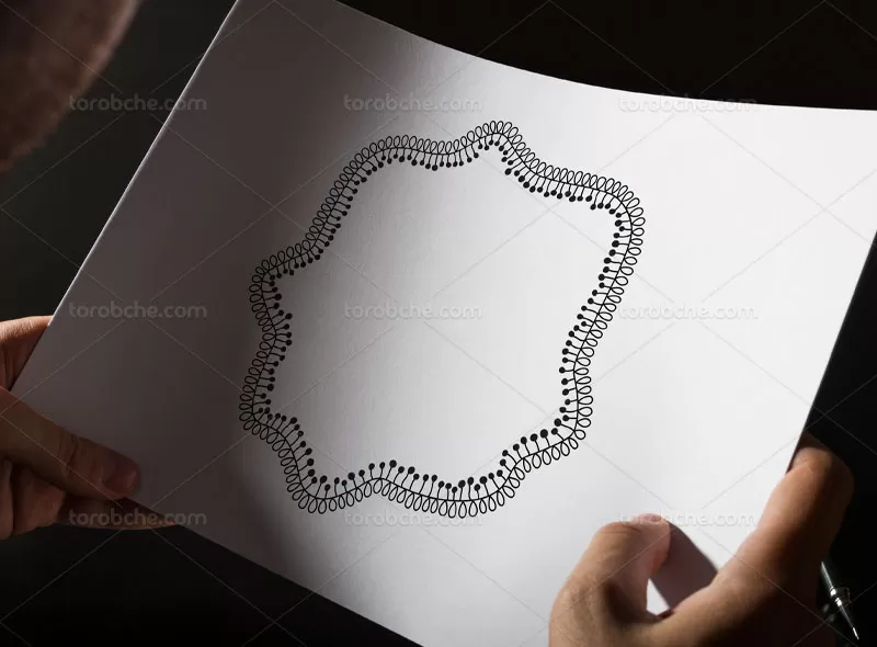 وکتور کادر مینیمال