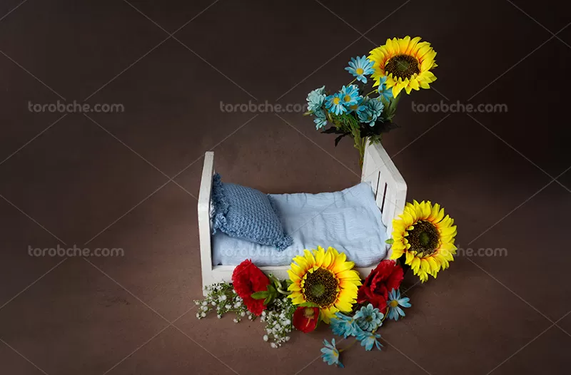 بک دراپ نوزاد با گل
