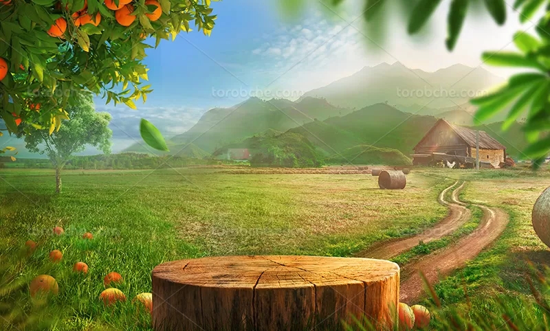 پس زمینه عکاسی محصول با کیفیت