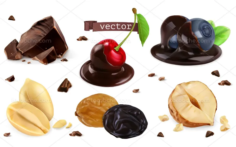 وکتور میوه و آجیل