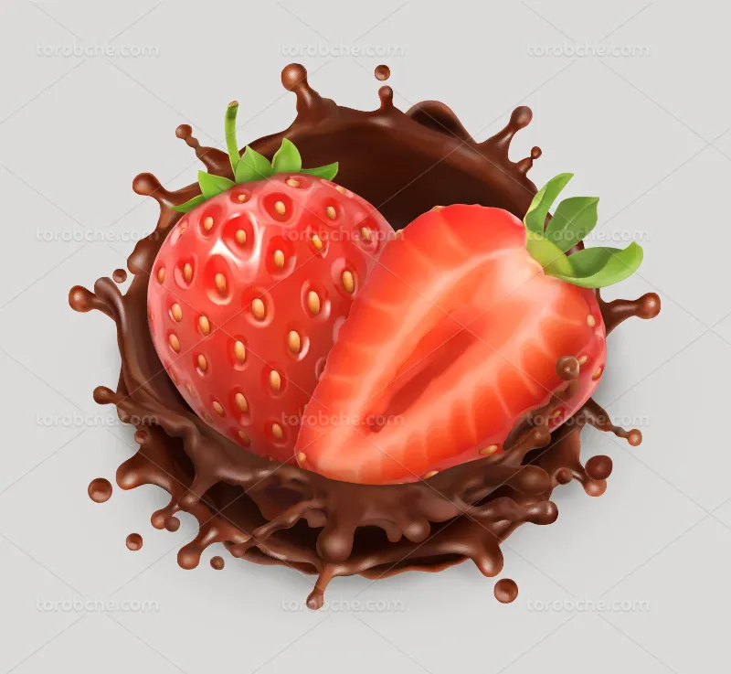 وکتور توت فرنگی و کاکائو