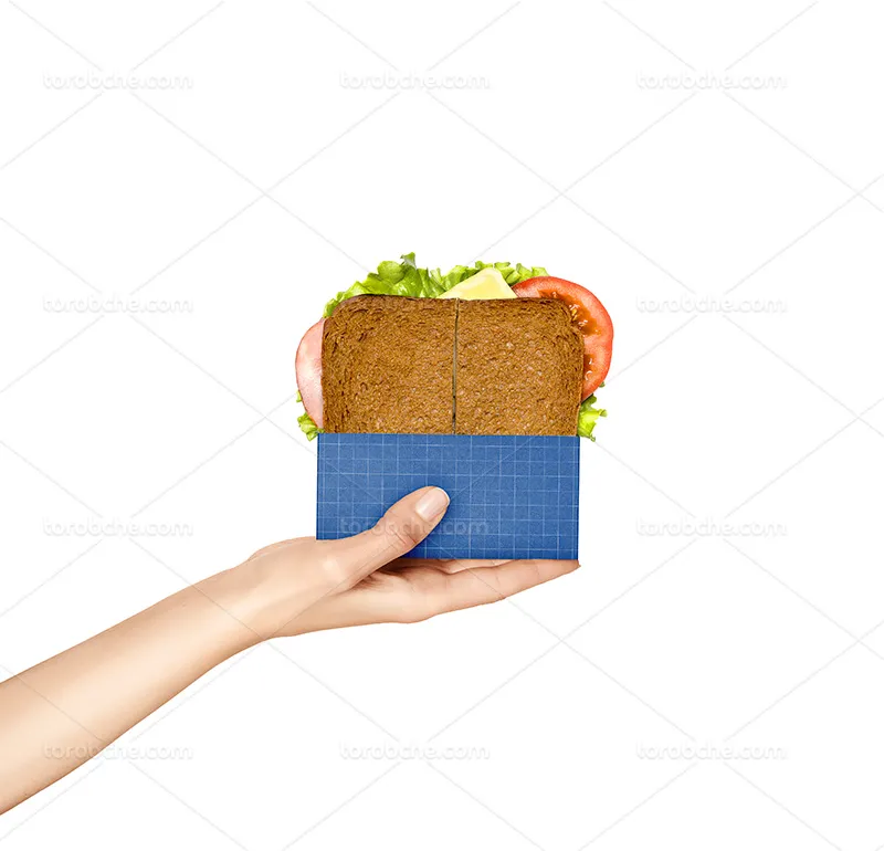 موکاپ ساندویچ