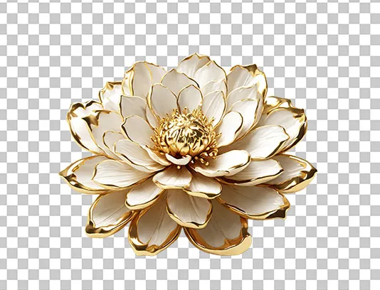 عکس PNG گل سفید و طلایی