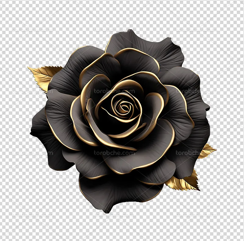 عکس PNG گل رز مشکی