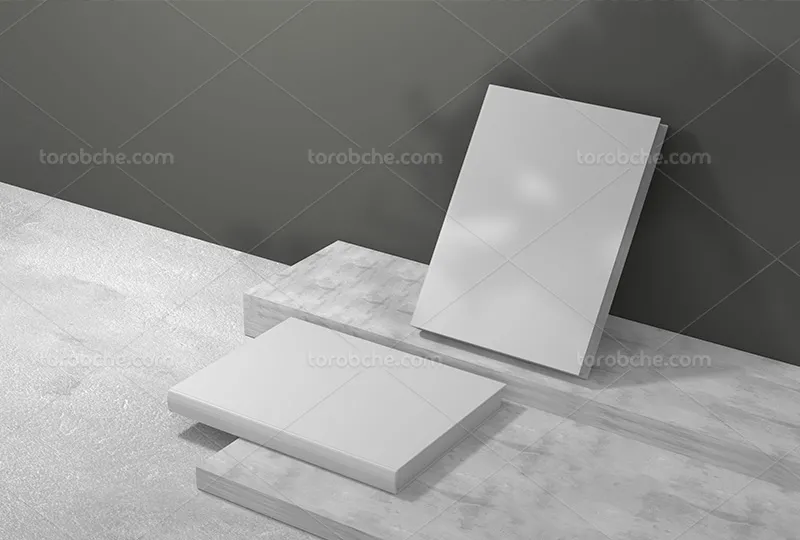 موکاپ کتاب روی سنگ