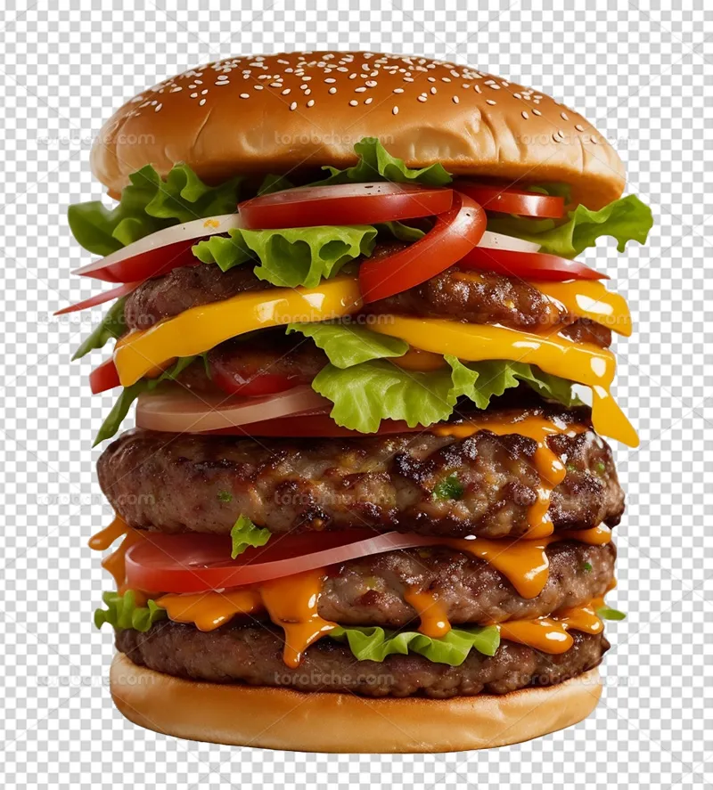 عکس PNG همبرگر با گوجه