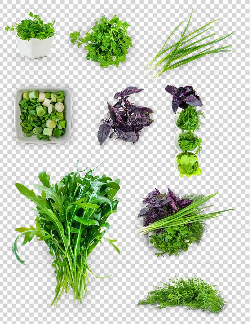 عکس PNG سبزی خوردن