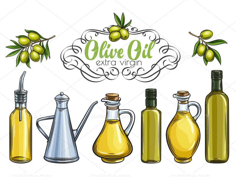 وکتور روغن زیتون در بطری های مختلف