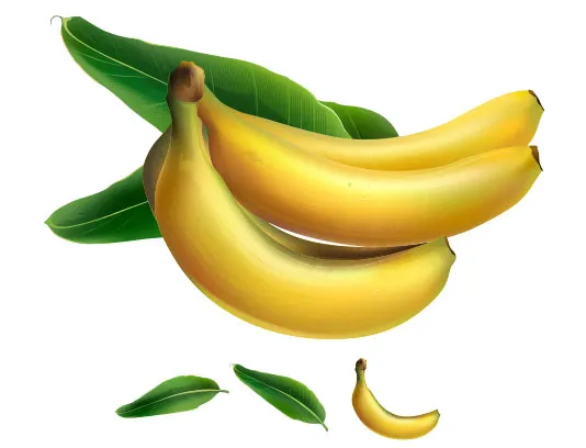 وکتور موز تازه