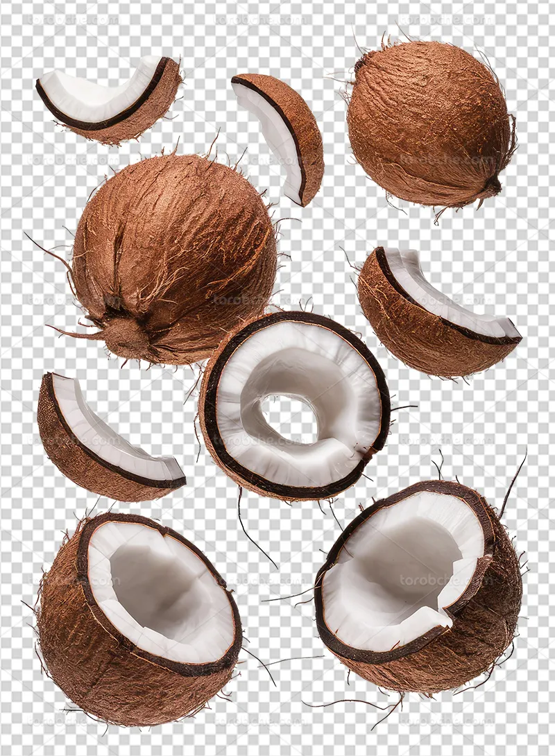 عکس PNG نارگیل تازه