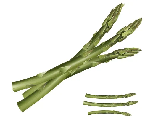 وکتور مارچوبه