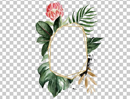 عکس PNG کادر برگ و گل