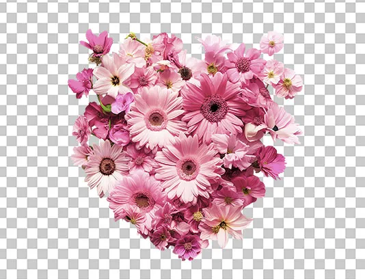 عکس گل قلبی PNG