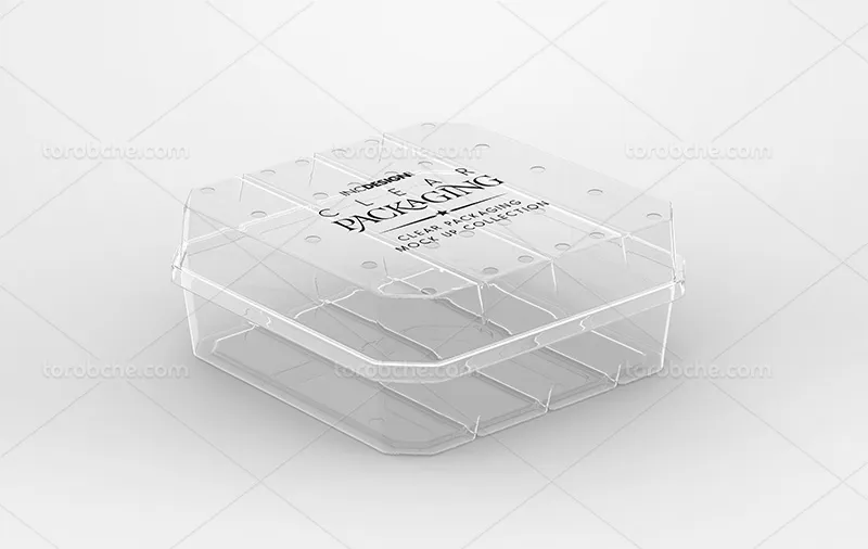 موکاپ ظرف غذا پلاستیکی شفاف