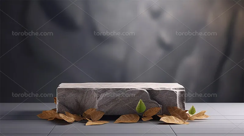 بک دارپ عکاسی محصول سنگی با برگ