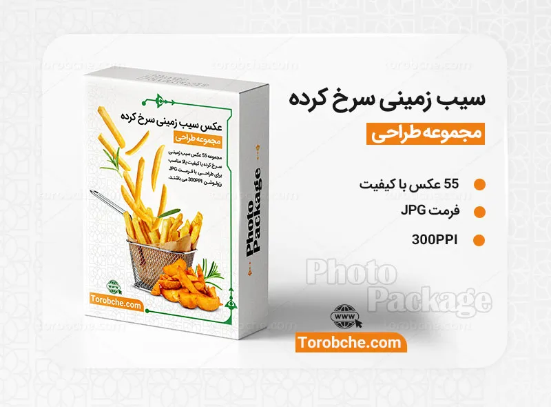 مجموعه 55 عکس سیب زمینی سرخ کرده با کیفیت عالی برای طراحی
