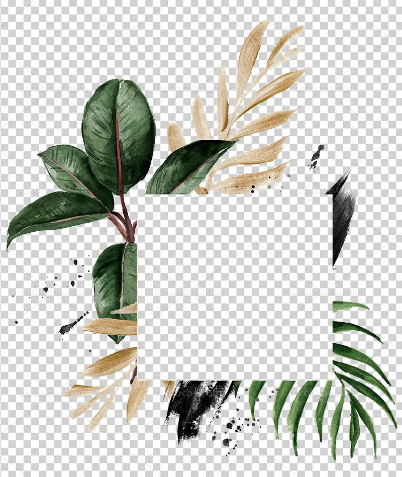عکس PNG کادر برگ مناسب طراحی