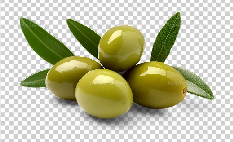 عکس PNG زیتون برای طراحی منو رستوران
