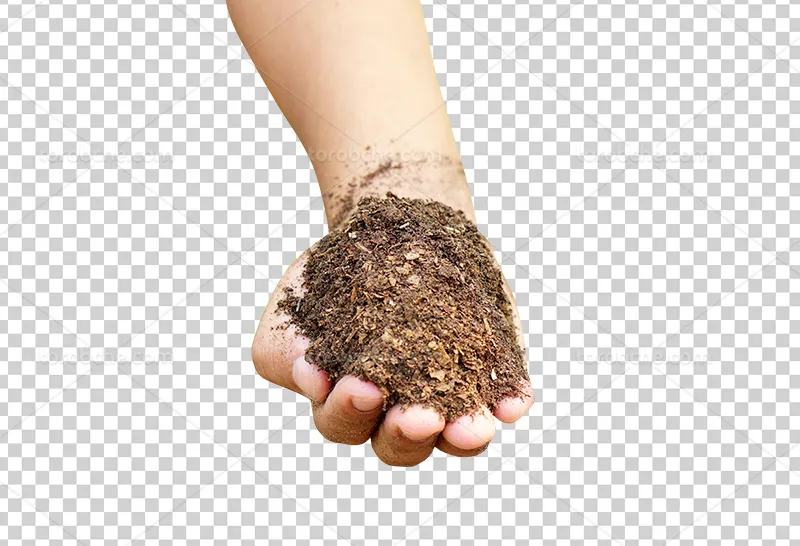 عکس PNG خاک در دست مناسب برای طراحی