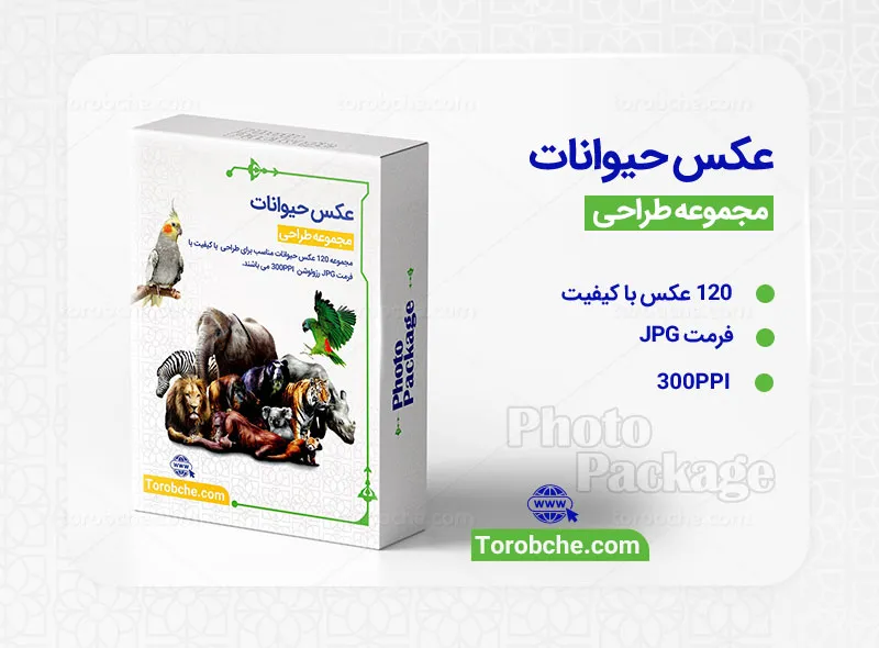 مجموعه 120 عکس حیوانات با کیفیت بالا | سری 1
