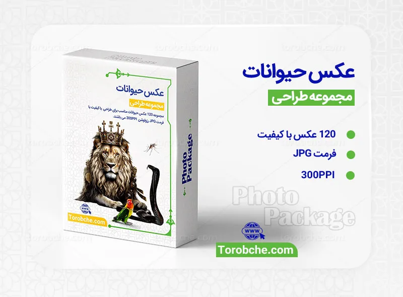 مجموعه 120 عکس حیوانات با کیفیت بالا | سری 2