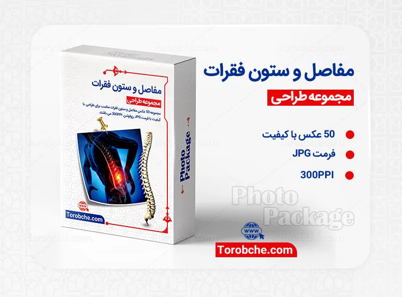 مجموعه 50 عکس مفاصل و ستون فقرات با کیفیت بالا
